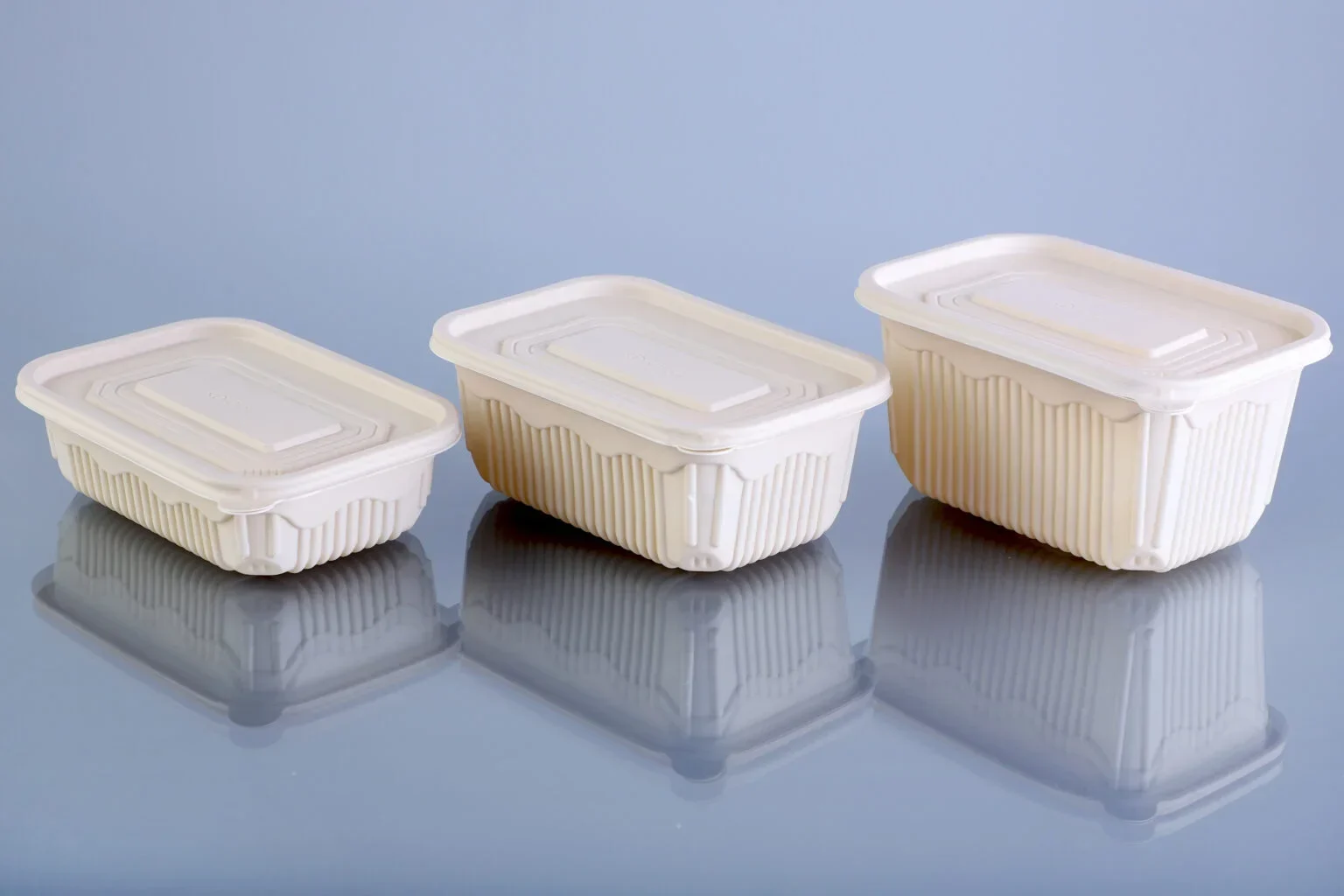 Cornstarch RT Containers with Lid